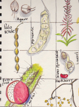 Some parts don't fit in a tidy box. Cactus grid �� Quinn McDonald, 2015