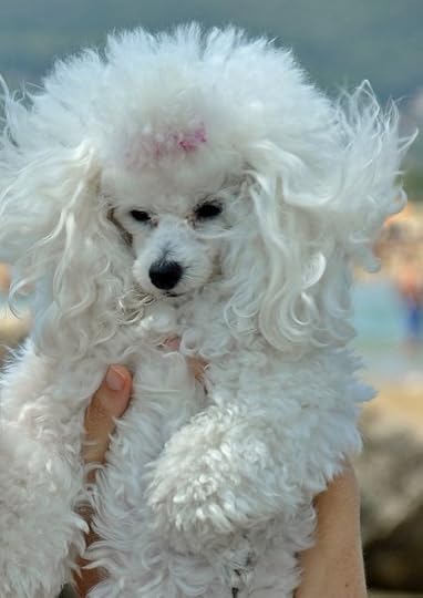  photo 44488D29-3A15-4916-83BB-D83CC1717B01.jpg