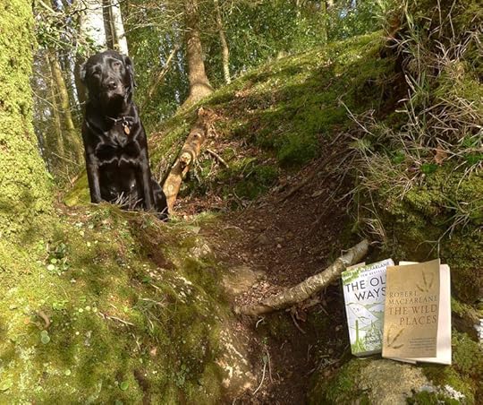 Books by Robert Macfarlane