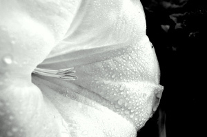 038