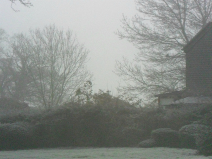 frost1