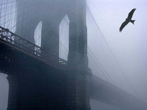 Brooklyn Eagle by Gary H. Splelvogel