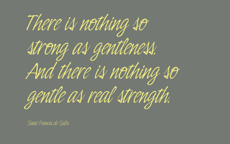 there is nothing so strong as gentleness meme
