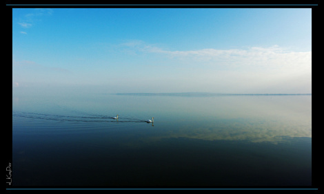 peace eLKayPics flickr CC