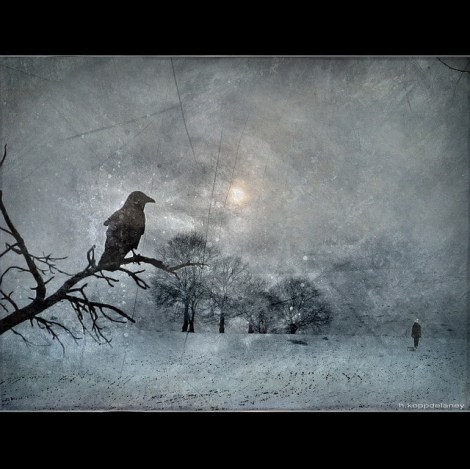 H. Koppdelaney raven image