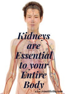 kidneys are essential to your entire body