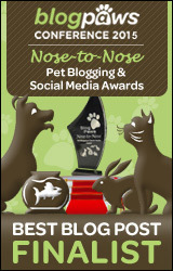 BEST-BLOG-POST-n2n2015-FINALISTbadge