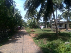 ayurvedic massage experience - Kalutara residences