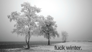 fuckwinter wallpaper