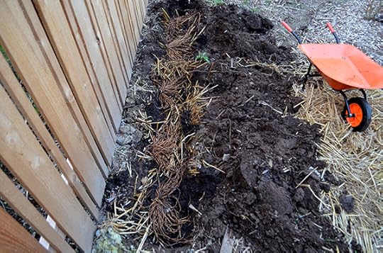asparagus-bed-double-dig