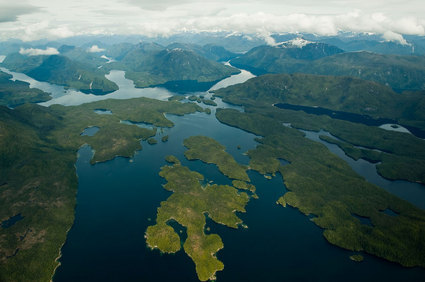 Great-Bear-Rainforest-photo-1-thumb-425x282