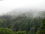 DSCN0618