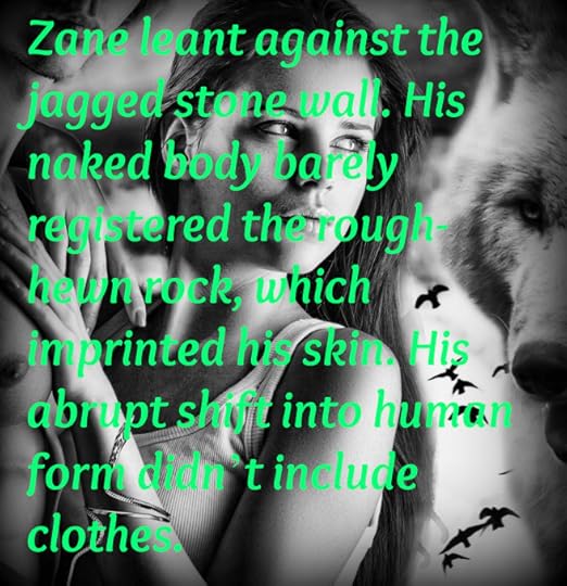 The Revenge Masquerade Excerpt 2
