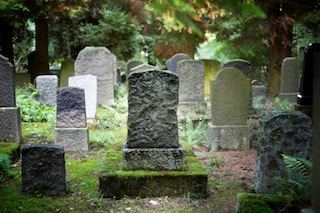 What can our Primal fear of death teach us? | Mark's Daily Apple