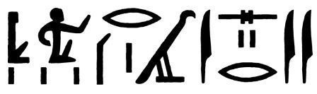 The rendering of the Israel hieroglyphs that appears in my novel. The two kneeling figures signify a people or tribe, and the other symbols were read by Petrie's philologist Wilhelm Spiegelberg as I.si.ri.ar.