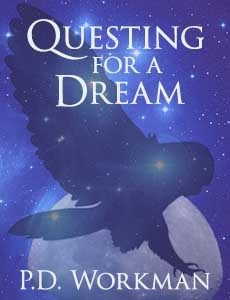 dream nano cover2