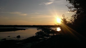fd140716faesunset1