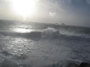 TomCorser_Wild_sea_IMG_6160