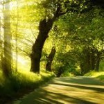 images (1)
