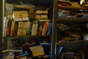 Attic book shelves