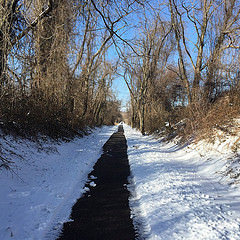 Another snowy huckleberry trail run