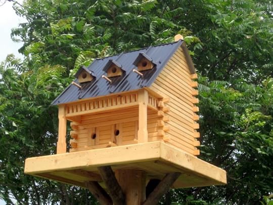 Decorative Bird Houses with Beautiful Furnishing Added