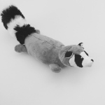 Amici di Koi che muoiono presto