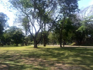 Free walking tour of Colombo - Vihara Maha Devi Park