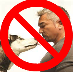  NO CESAR!