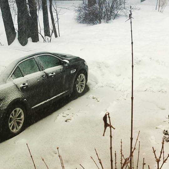 More snow falling... Because we don't have enough. #hatewinter #dailyphoto #ig2015 #365days