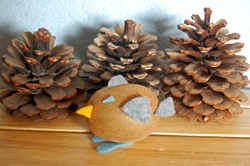 Kiwi (Bird?)