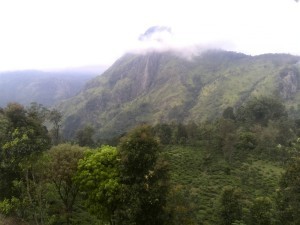 Best Things to do in Sri Lanka - Little Adams Peak - Ella - View