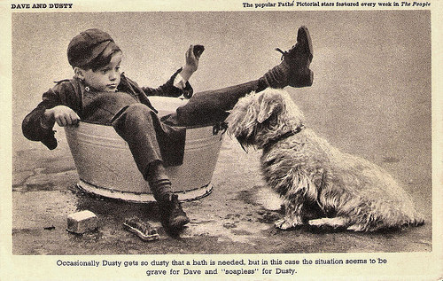 Dave and Dusty