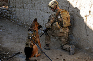 U.S. Army 1st Sgt. Brian Zamiska, with Delta Company, 3rd Battalion, 187th Infantry Regiment, 3rd Brigade Combat Team, 101st Airborne Division, provides security with an Air Force military working dog during a patrol with members of the Afghan Border Police in the Tera Zeyi district, Afghanistan, Jan. 6, 2013. (DoD photo by Spc. Alex Kirk Amen, U.S. Army/Released)
