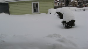 2015-02-24 18.27.36