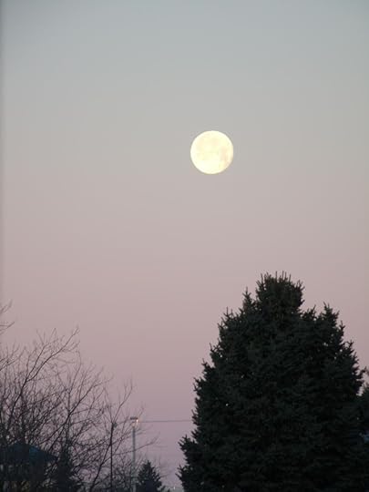  photo GEDC0670r_zpsuiqrjmvx.jpg