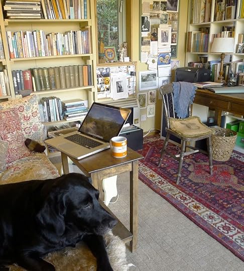 The muse of the Bumblehill Studio reflects on the week ahead