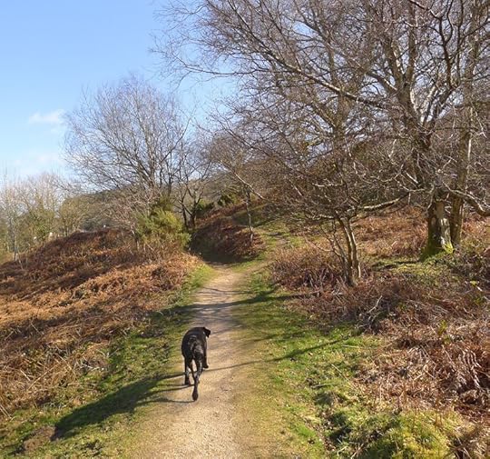 Light and shadow on the path we follow