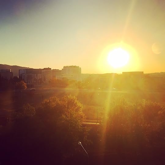 Early morning sun