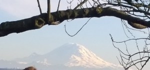rainier32015