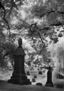 cemetery forest home 2