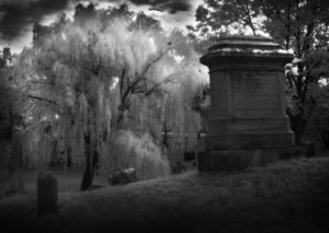 cemetery forest home 3