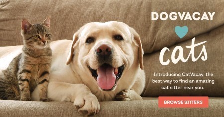 catvacay.com