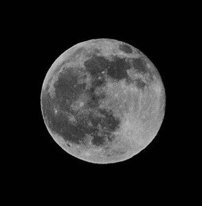 moon with rabbit cropped