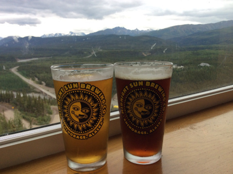 View of Denali National Park