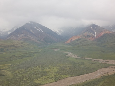 Denali National Park