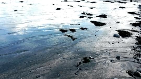 Flaggy Shore