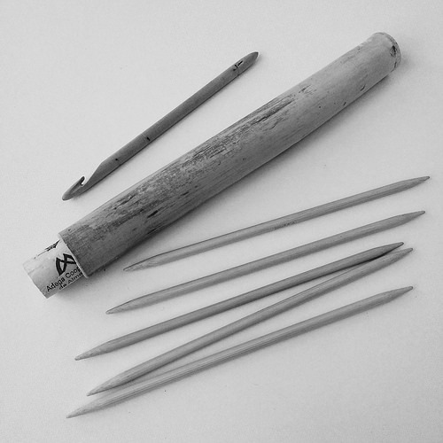 arundo donax