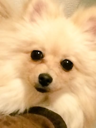 {7CE74E12-F6E2-427B-A0E0-B648D8C89774:01}