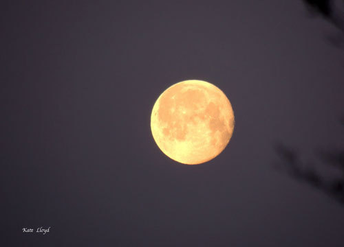 My payoff for waking up too early last Saturday morning.